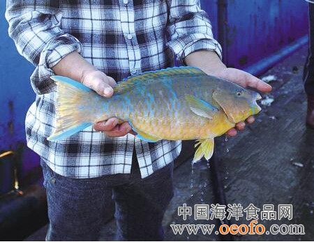 米乐M6官方入口