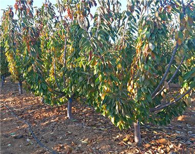 米乐M6官方入口