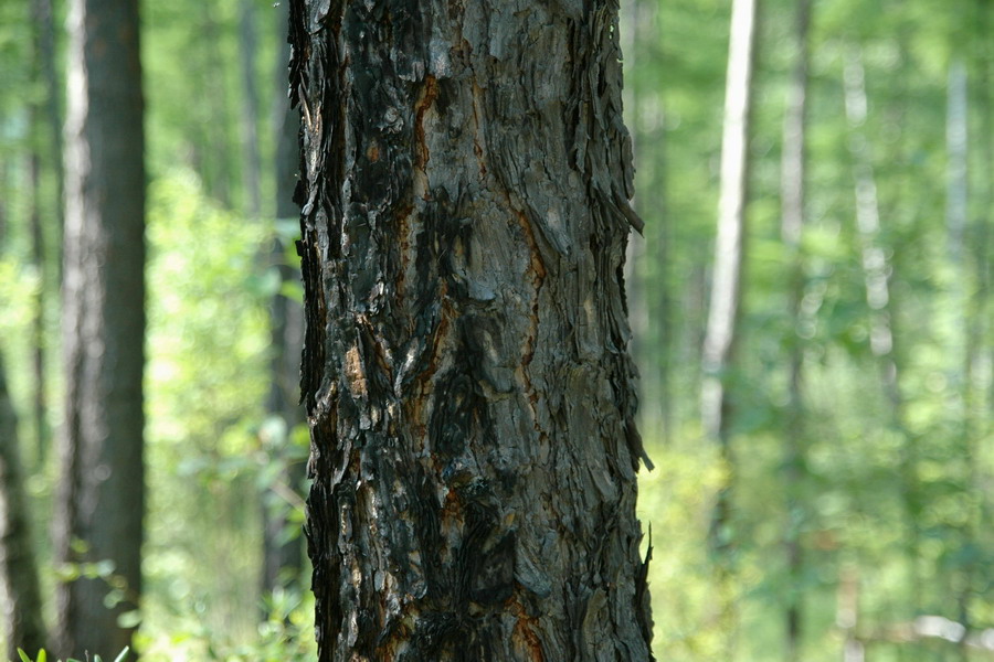 米乐M6官方入口