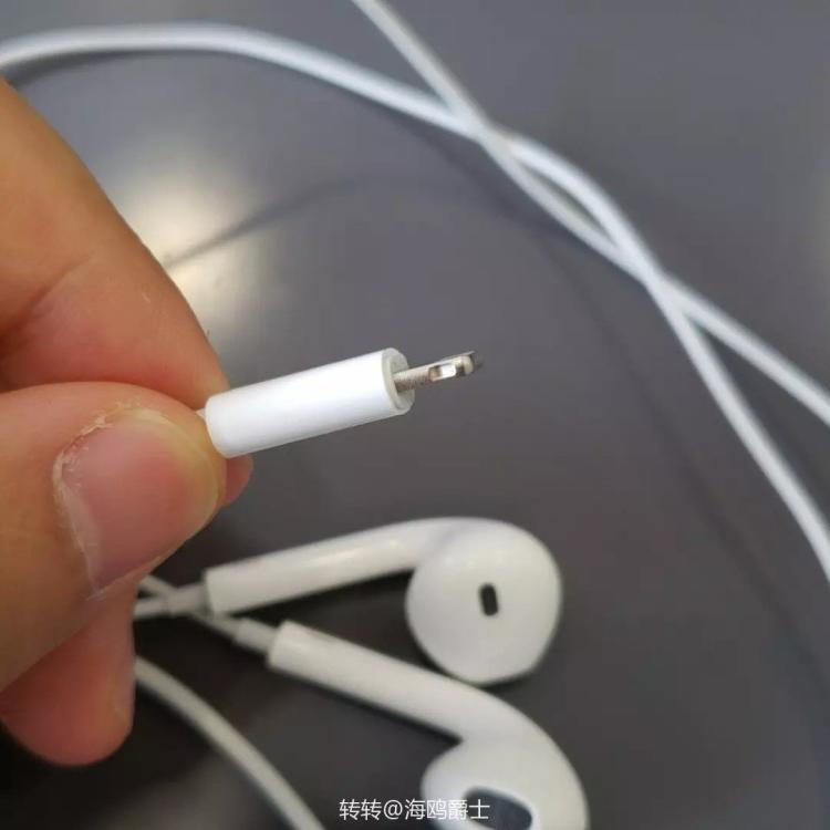 厉害了?实力选手李月汝和韩旭球技惊人 称霸武林指日可待“m6最新官网”(图1) 米乐M6官方入口