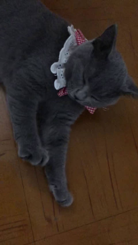 m6最新官网_张智成探望尘爆受伤歌迷 鼓励她积极复健自助也助人(图4) 米乐M6官方入口