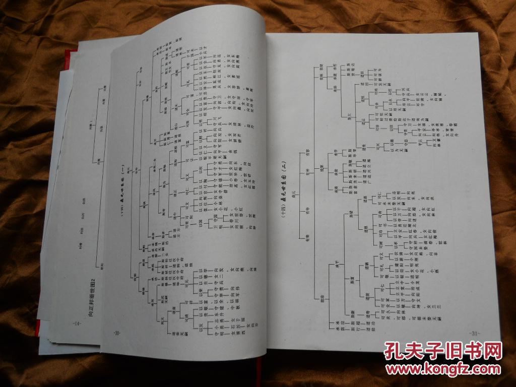 王力宏闪婚感谢粉丝祝福 巩新亮与郎朗分手发单身宣言‘米乐M6官方入口’(图4) m6最新官网