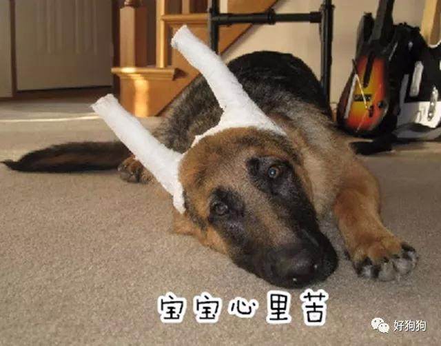 达迪27+16史密斯27+15 四川轻取同曦夺3连胜_米乐M6(图3) 米乐M6