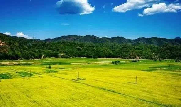 米乐M6官方入口