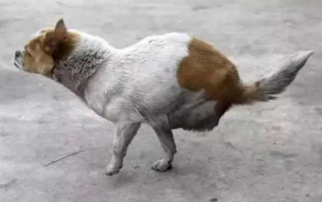 米乐M6官方入口