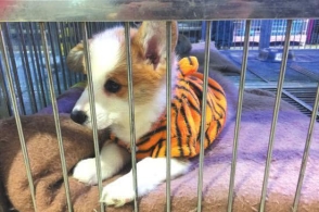 米乐M6官方入口