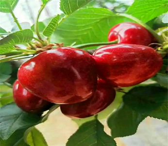 米乐M6官方入口