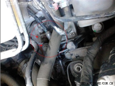 李楠当选主帅 :为国效力感到荣幸,拿第一指日可待-米乐M6(图3) m6最新官网