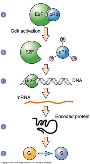 林志杰8记三分小丁空砍34分 广厦胜山东总分1-0‘米乐M6官方入口’(图2) m6最新官网