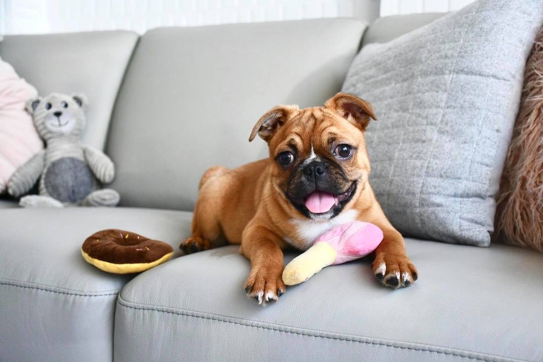 “米乐M6官方入口”女篮赛中国与法国比赛将近 或创造近10年最佳战绩(图2) 米乐M6官方入口