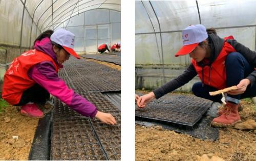 米乐M6官方入口