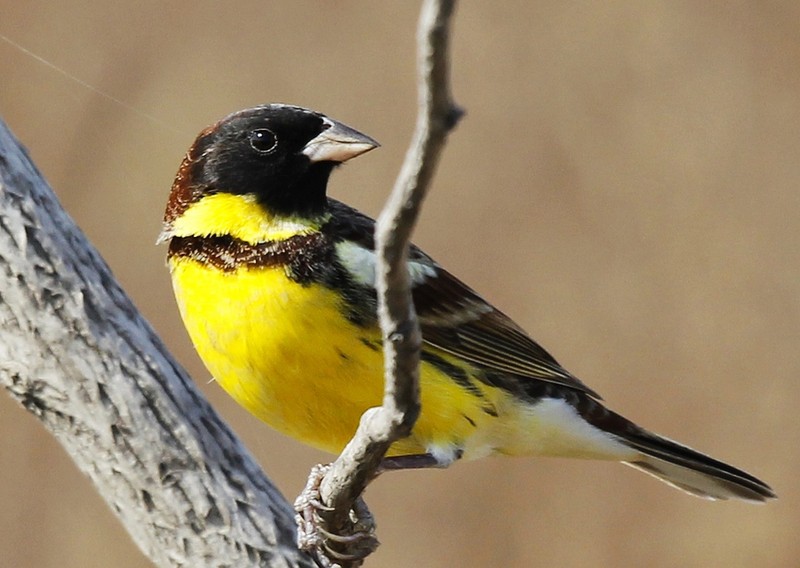 江苏2018用电量突破6000亿千瓦时“米乐M6官方入口”(图1) 米乐M6