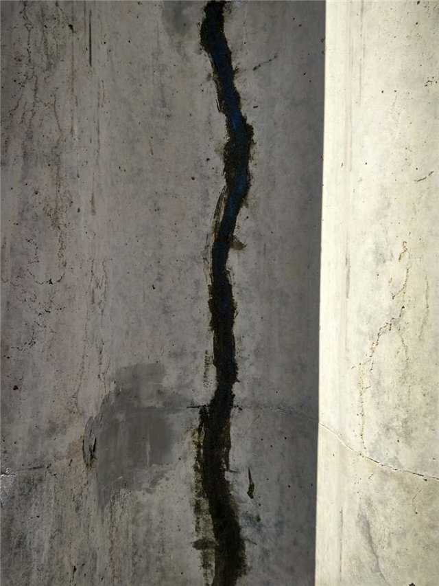 米乐M6-郑嘉颖夺TVB视帝否认有黑幕:续约换奖子虚乌有(图1) m6最新官网