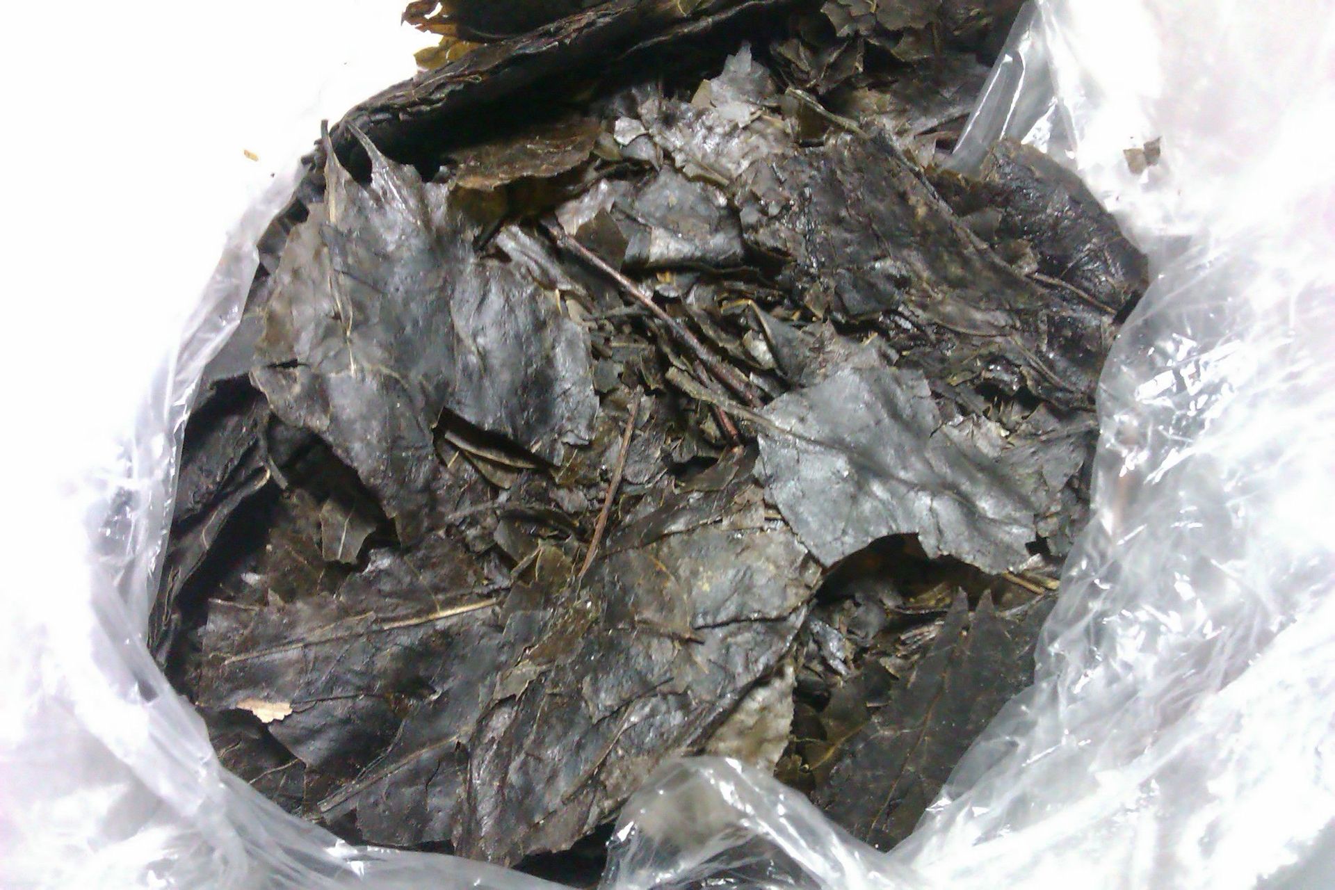 “米乐M6”孟广美助阵时装秀 性感红装诠释中国风(图1) m6最新官网