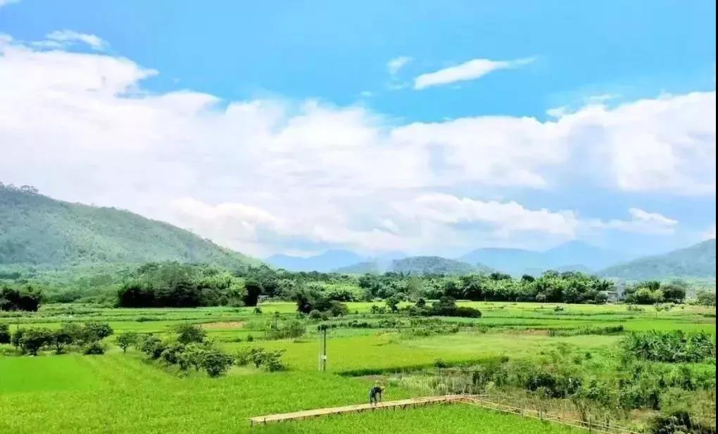 米乐M6官方入口-传TVB欲与四大唱片终极破冰 李克勤:未接通知(图1) m6最新官网