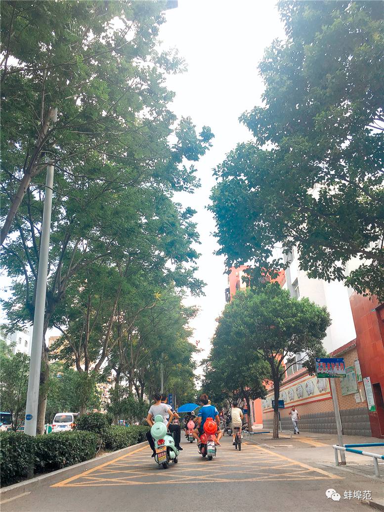 组图:北京首钢篮球宝贝热舞 身体细长舞姿诱人“米乐M6”(图1) 米乐M6官方入口