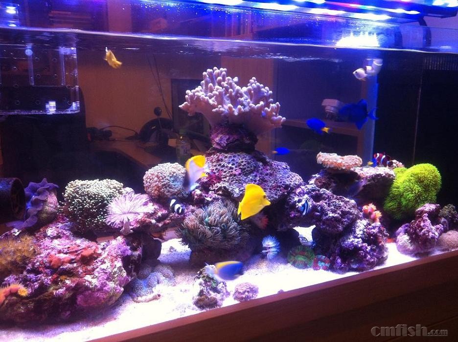 过去五年我国限制外资措施减少65%【米乐M6】(图4) 米乐M6官方入口