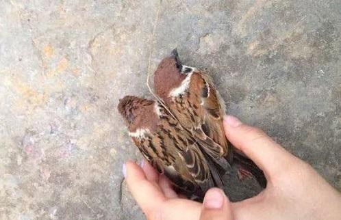 米乐M6官方入口