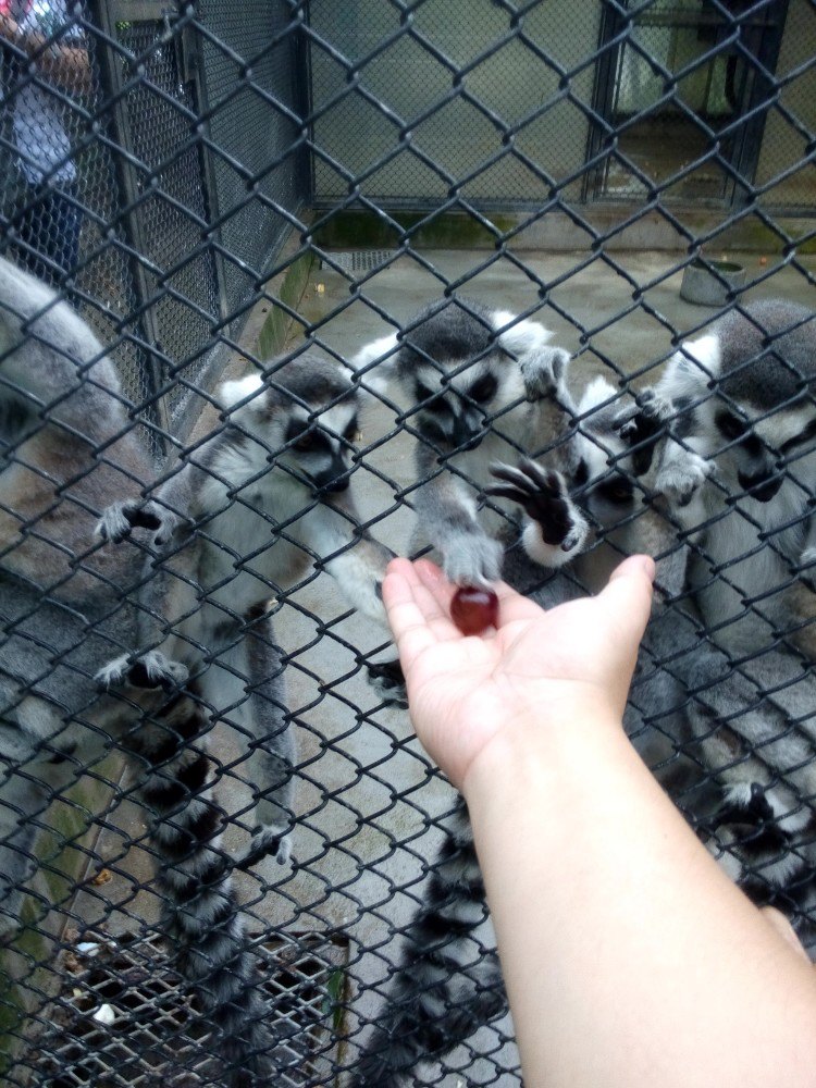 米乐M6官方入口