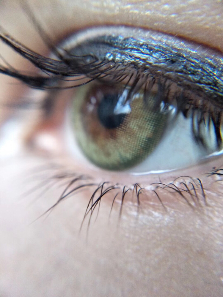 燃“煤”之急,马上就到_m6最新官网(图1) 米乐M6