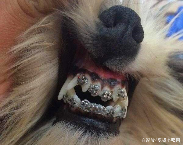 扎达尔赛:贺天举 哈德森脱颖而出 辽宁首战输的一败涂地|米乐M6官方入口(图2) m6最新官网