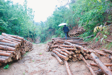 中核集团携多个合作项目参加第二届进博会“米乐M6”(图1) 米乐M6