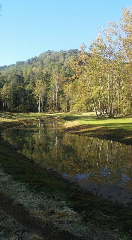 m6最新官网:2018年全国篮球传统项目学校联赛(男子组)补充函(图2) 米乐M6