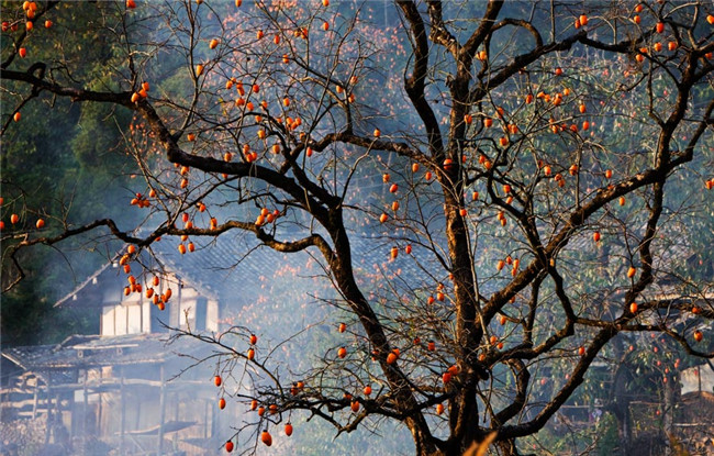 米乐M6官方入口-中国台北队逆转日本队,取得本届亚运会赛事的开门红(图1) 米乐M6