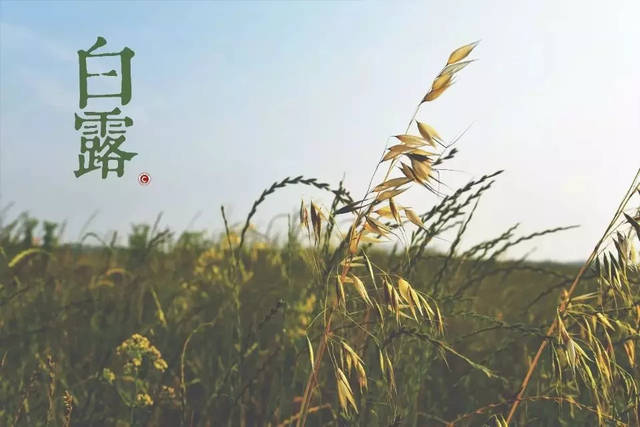 【m6最新官网】关于补调李祥波等五人参加国青男篮集训的通知(图2) m6最新官网