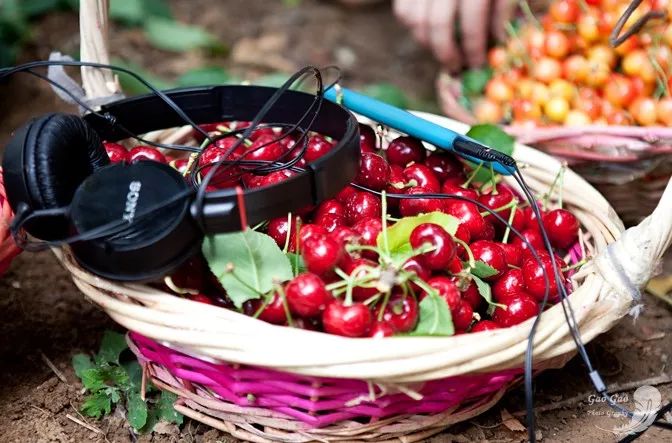 翟晓川晒机票:quot;检修quot;为更好运转 会积极配合医治_米乐M6官方入口(图2) 米乐M6官方入口