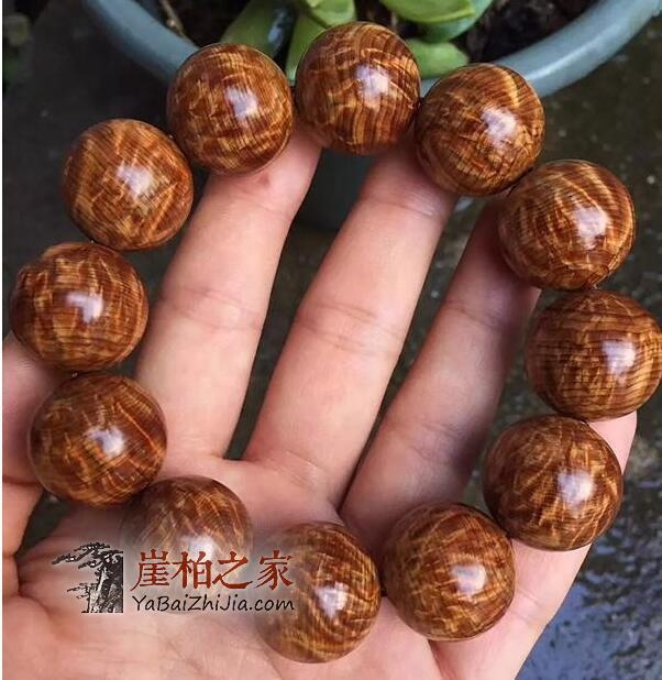 米乐M6官方入口