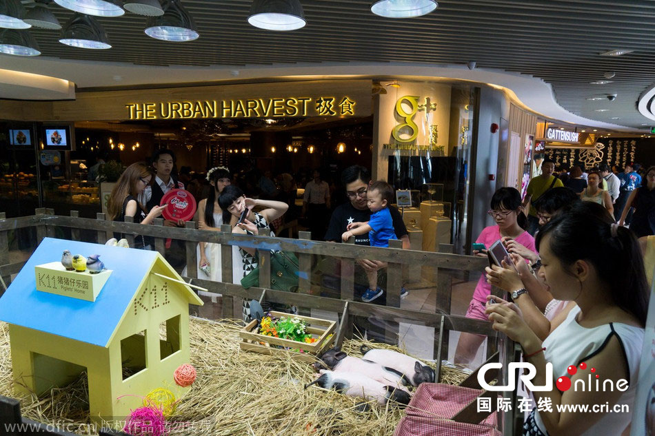 郭士强自动变阵打小个阵容 困难赢下天王山之战“米乐M6”(图1) m6最新官网