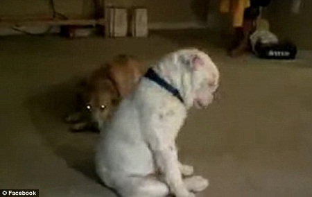 米乐M6官方入口