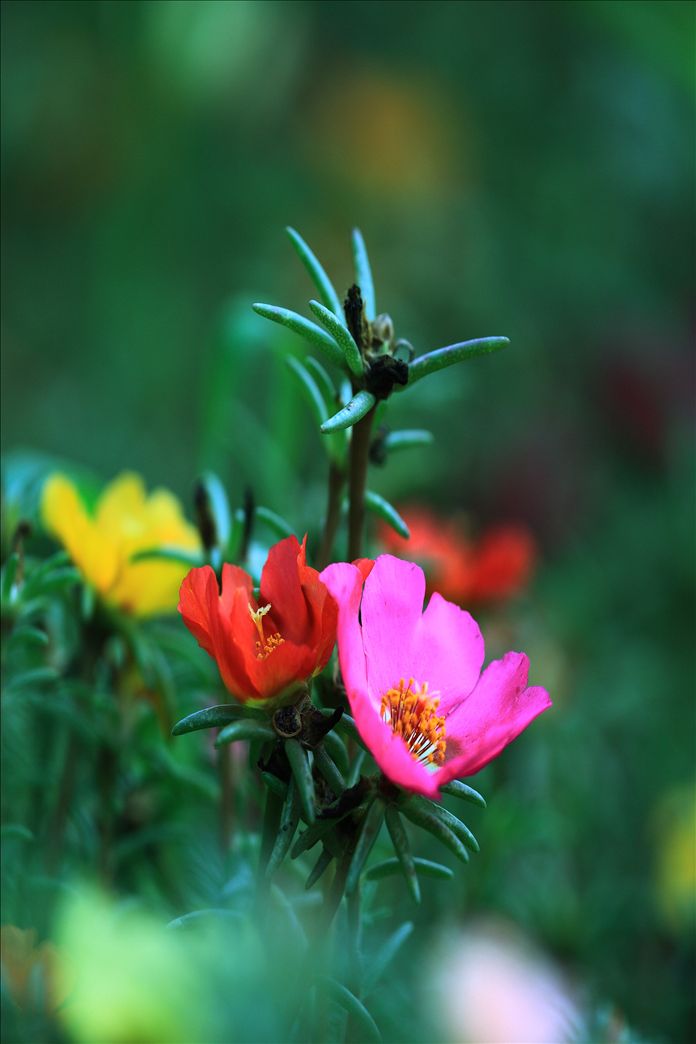 米乐M6官方入口