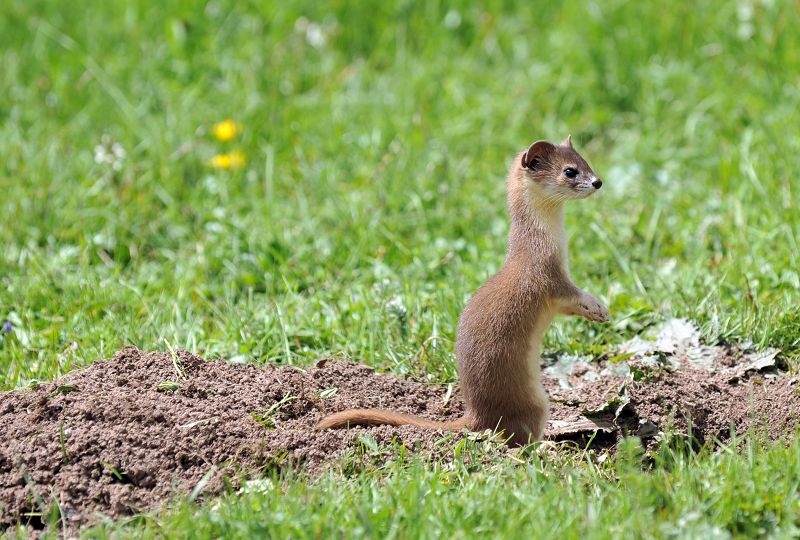 米乐M6官方入口